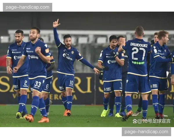 维罗纳2-2战平萨勒尼塔纳,保级关键战各取一分 维罗纳2-2战平萨勒尼塔纳,保级关键战各取一分